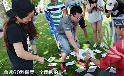 BJL平台(中国区)官网