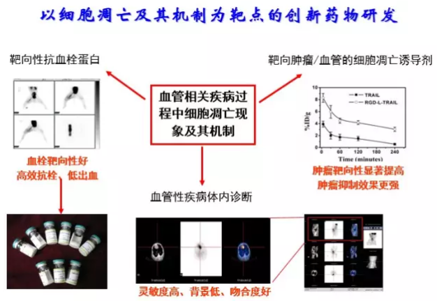 BJL平台(中国区)官网