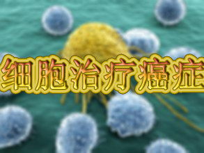 BJL平台(中国区)官网