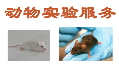 BJL平台动物实验外包效劳