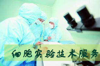 BJL平台(中国区)官网