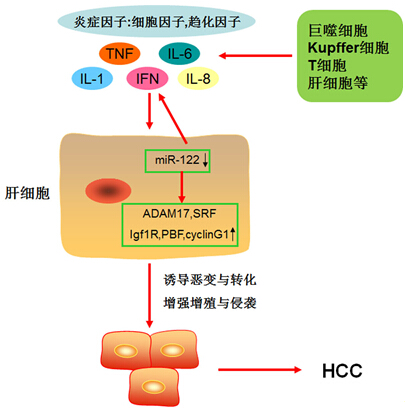 BJL平台(中国区)官网