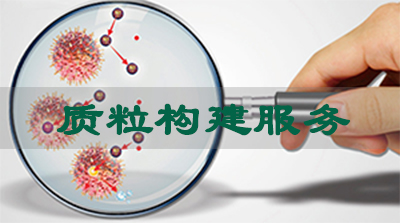 BJL平台质粒构建效劳