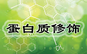 BJL平台(中国区)官网