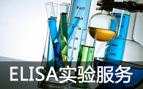 BJL平台(中国区)官网