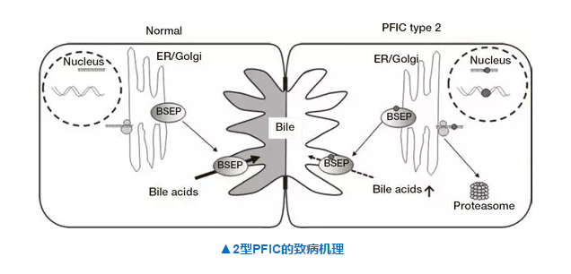 BJL平台(中国区)官网