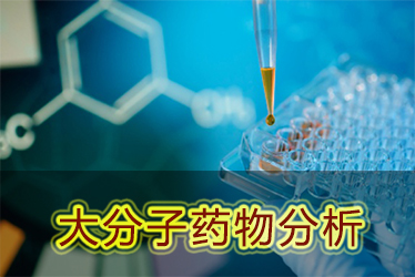 BJL平台大分子药物剖析效劳