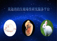 BJL平台的生殖毒性研究效劳平台