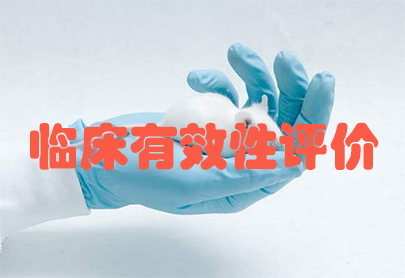 BJL平台(中国区)官网
