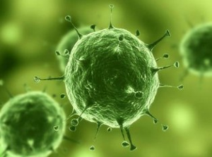 Nature：治疗实体瘤有了明确靶标，，，，肿瘤干细胞确实保存