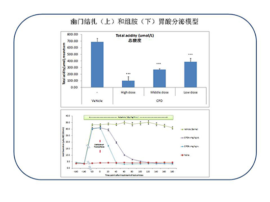 BJL平台(中国区)官网