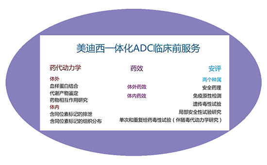BJL平台一体化ADC临床前效劳