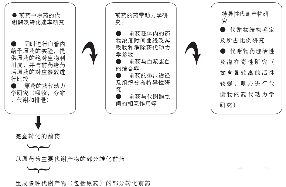 BJL平台(中国区)官网