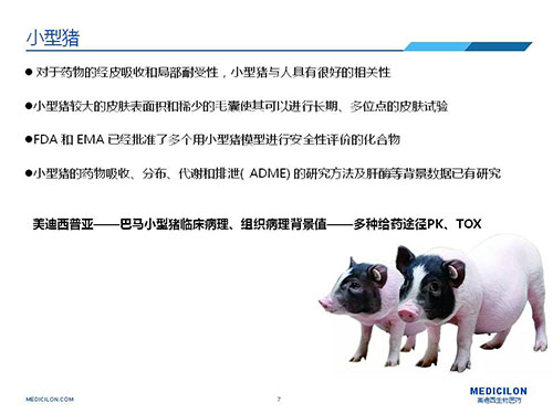 皮肤涂抹试验中，，受试动物选择小型猪更好