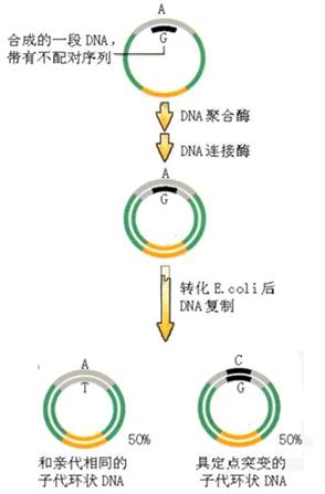 BJL平台(中国区)官网