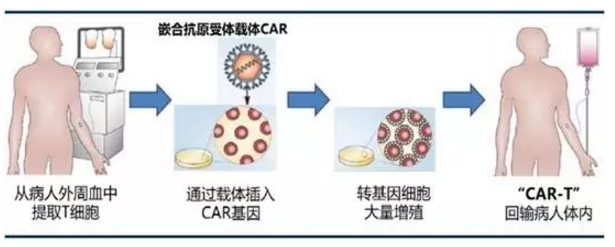 BJL平台(中国区)官网