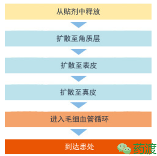 BJL平台(中国区)官网