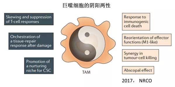 BJL平台(中国区)官网