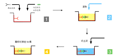 BJL平台(中国区)官网