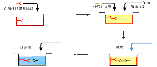 BJL平台(中国区)官网