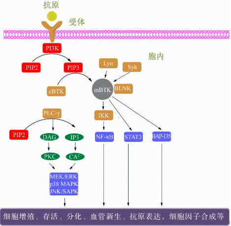 BJL平台(中国区)官网