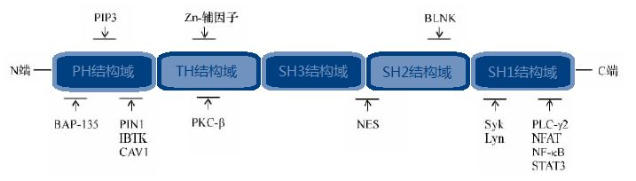 BJL平台(中国区)官网
