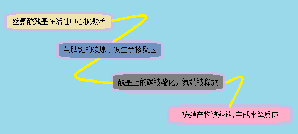 BJL平台(中国区)官网