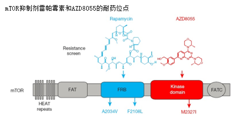 BJL平台(中国区)官网