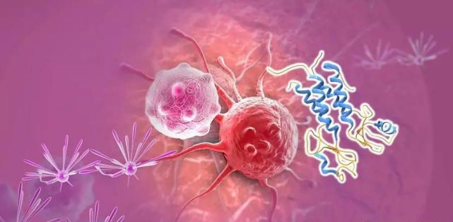 【盘货】高选择性mTOR抑制剂的研究历程_BJL平台生物医药