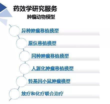 BJL平台药效学动物模子