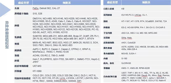 BJL平台药效学动物模子