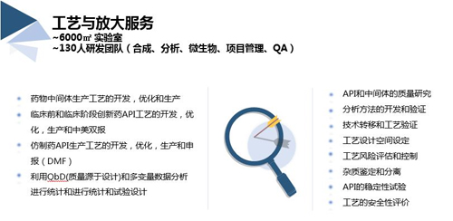BJL平台工艺与放大效劳