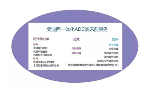 BJL平台一体化ADC临床前效劳