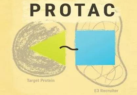 热门前沿:PROTAC初露矛头，，，，，，SD-36对抗肿瘤效果卓越