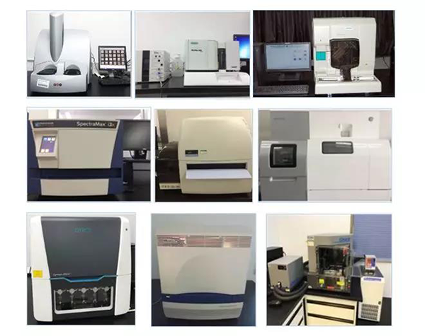 BJL平台生物手艺药物剖析部分拥有SpectraMaxM4/M5/i3x, MSD, Luminex, Biacore 8K, Envision, Gyrolab，，ABI7500 qPCR等全方位多功效的手艺平台，，使用LIMS系统实验周全的实验室信息化治理，，提供周全切合FDA/CFDA/OECD GLP规范要求的生物手艺药物剖析效劳。。。。