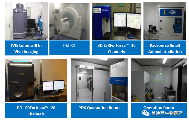 BJL平台药理部拥有IVIS Lumina III, PET-CT, BD LSRFortessa-16, Flow Cytometry等仪器，，提供切合申报，，支持临床试验的药效评价效劳。。。。。。