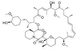 雷帕霉素新制剂用于有数病，，获4500万美元融资