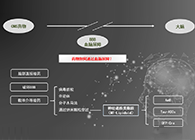 人工合成NT类脂质开放血脑屏障，，为CNS药物翻开新时势