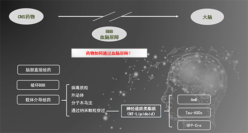 人工合成NT类脂质开放血脑屏障，，，，为CNS药物翻开新时势