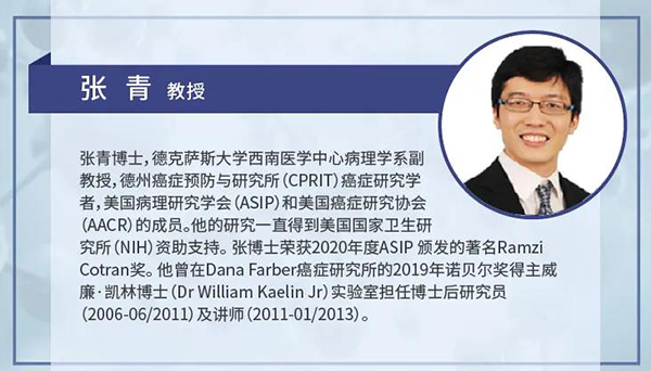 直播预告|诺奖实验室讲师张青教授做客BJL平台云课堂，，，，，展现乳腺癌和肾癌治疗新靶点