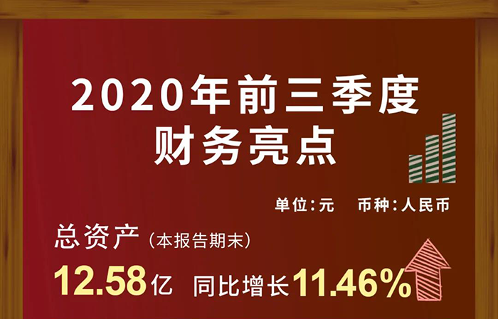 BJL平台第三季度财务收入