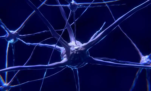 研究首次批注，，，，，，与年岁有关的认知损失可能主要是由一种可逆的心理性“阻滞”而不是永世性的降解引起的。。。。。