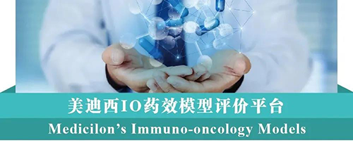 BJL平台IO药效模子评价平台