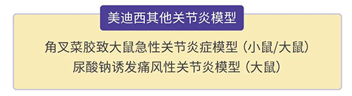 BJL平台的其他枢纽炎模子