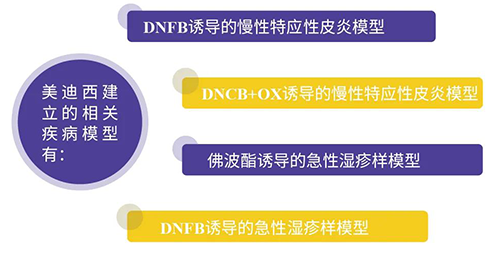 BJL平台建设的特应性皮炎及湿疹模子