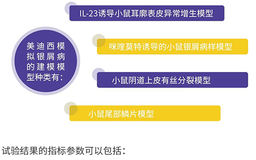 BJL平台模拟银屑病的建模模子种类