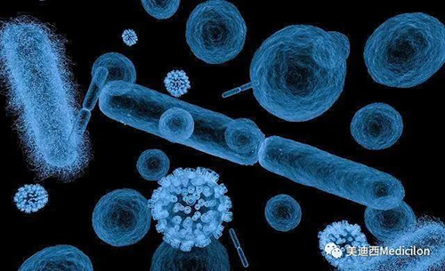 20分钟，，，，，大大都细菌都可以繁衍一代 BJL平台生物医药