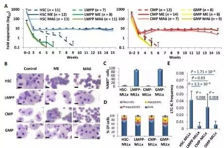 Science子刊：一种FDA批准的抗腹泻药物可有用对抗化疗的耐药性 BJL平台生物医药