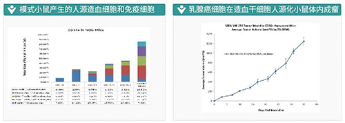 IO药效模子_肿瘤免疫_药效评价模子-BJL平台生物医药