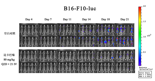 IO药效模子_肿瘤免疫_药效评价模子-BJL平台生物医药
